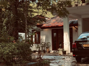 Villa 223